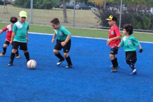 IMG_5552 IMG_5552