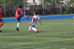 IMG_5679 IMG_5679