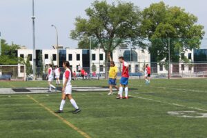 IMG_5746 IMG_5746